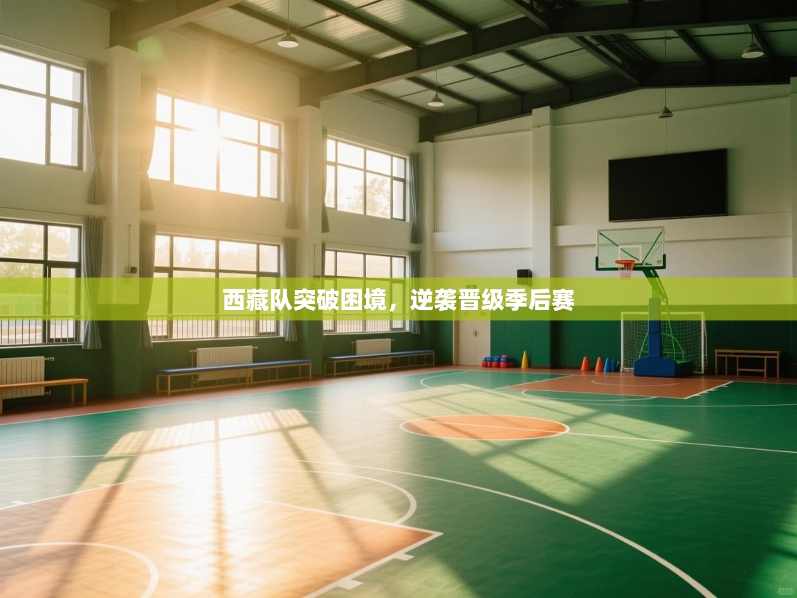 西藏队突破困境,逆袭晋级季后赛 第2张